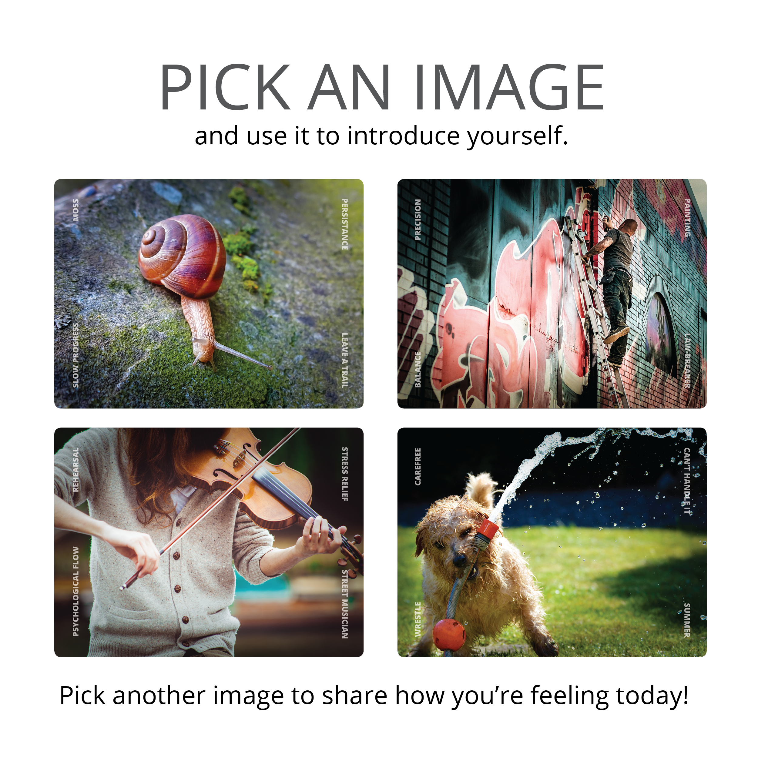 Pick an image